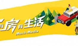 台州最新爆料新闻事件,揭秘某重大事件背后真相