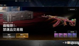 绝地求生最新黑货箱爆料,神秘奖励等你来拿！